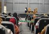 Disdikbud Jombang Sosialisasikan Program Beasiswa Kuliah Bagi Siswa Berprestasi dan Tidak Mampu