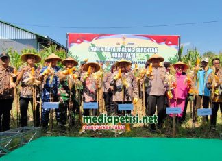Dukung Swasembada Pangan, Panen Raya Jagung Serentak Kuartal II di Jombang Virtual Bersama Presiden