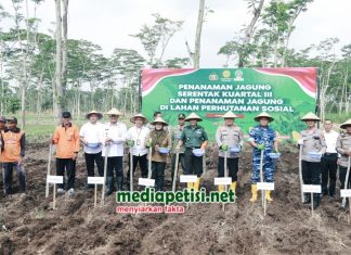 Dukung Ketahanan Pangan Nasional, Kapolres Jombang Tanam Jagung Kuartal III