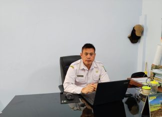 Disperta Jombang Laksanakan Program Optimasi Lahan Untuk Meningkatkan Produktivitas Pertanian