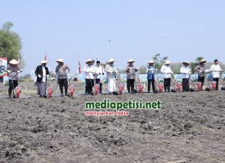Polri Gandeng Ponpes Tanam Jagung Serentak untuk Wujudkan Swasembada Pangan