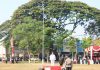 Momen Ajang Menanamkan Nilai- Nilai Kebangsaan, Camat Diwek Pimpin Upacara Bendera