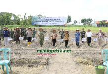 Dukung Swasembada Gula, Jombang Tanam Tebu Perdana Bongkar Ratoon di Lahan Kodim 0814