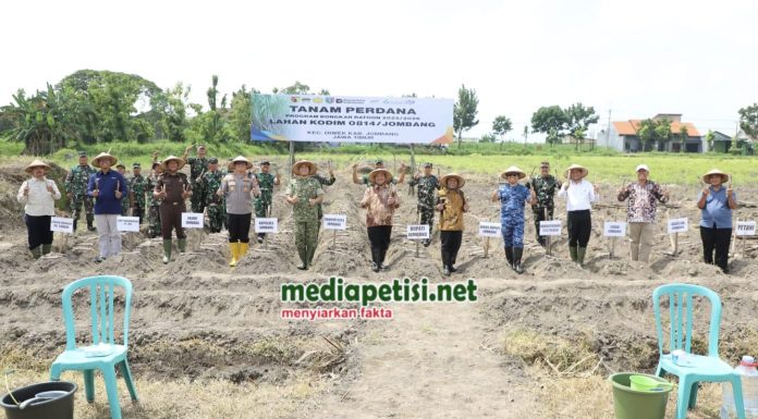 Dukung Swasembada Gula, Jombang Tanam Tebu Perdana Bongkar Ratoon di Lahan Kodim 0814