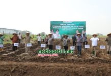 Tanam Perdana Bongkar Ratoon di Jombang, Dorong Swasembada Gula Nasional