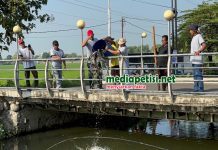 Mancing Mania Ikut Meramaikan Selamatan Buka Giling Tebu 2026 PG Djombang Baru